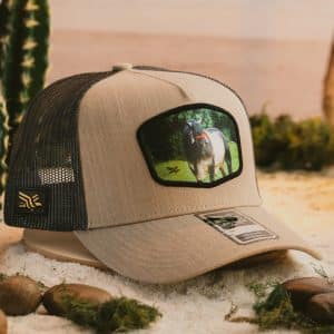 GORRA ADLER PREMIUM NELORE BULL